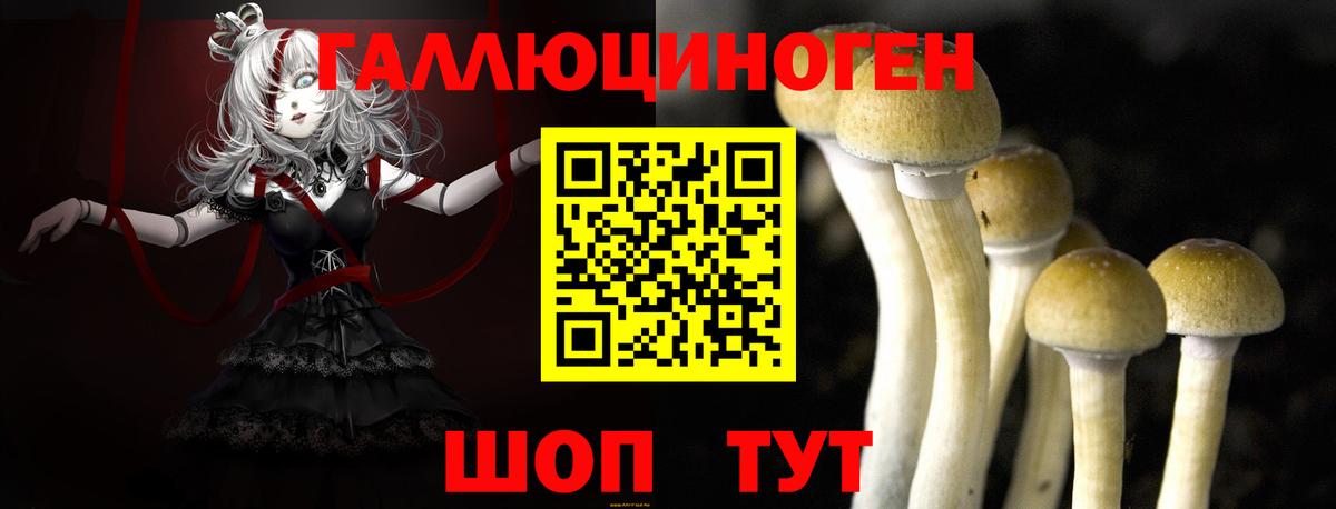 Галлюциногенные грибы GOLDEN TEACHER Ковров